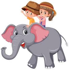 rode an elephant